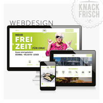 Referenz Webseite - knack-frisch GmbH